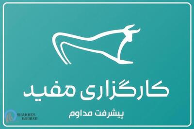 فرود سخت کارگزاری مفید در بورس