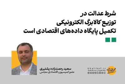 رحمت‌زاده: شرط عدالت در توزیع کالابرگ تکمیل پایگاه داده‌های اقتصادی است