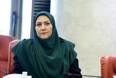 درخواست معاون بازرگانی وزارت جهاد برای اصلاح سامانه جامع تجارت: سامانه تک‌کاربره است و شفافیت ندارد