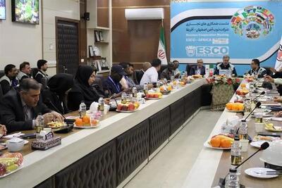 نشست همکاری‌های تجاری ذوب آهن اصفهان و آفریقا