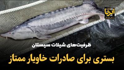 فیلم | ظرفیت‌های شیلات منطقه سیستان، بستری برای صادرات خاویار