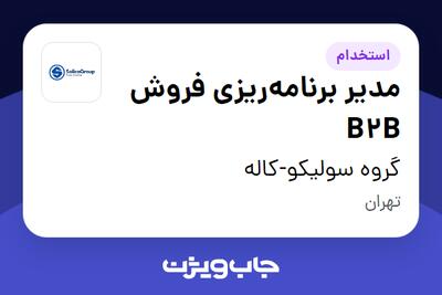 استخدام مدیر برنامه‌ریزی فروش B2B در گروه سولیکو-کاله