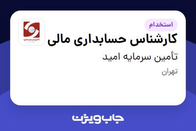 استخدام کارشناس حسابداری مالی در تأمین سرمایه امید