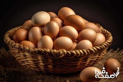 اصلاح قیمت تخم‌ مرغ در راه است| آیا نرخ‌ها افزایش می‌یابند؟