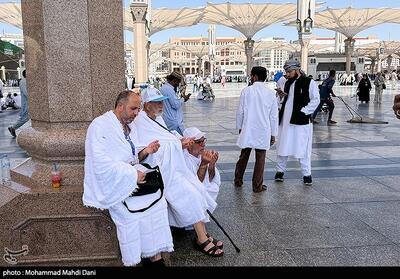 مناسک حج و تطهیر روح؛ از غسل احرام تا یاد مرگ و قیامت - تسنیم