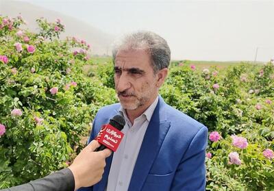 رشد تولید گندم و کلزا در سایه تحقیقات و فناوری‌های نوین- فیلم فیلم استان تسنیم | Tasnim