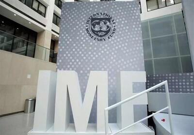 موافقت IMF با کمک فنی به ایران برای هدفمندسازی انرژی - تسنیم