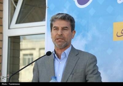 دولت جدی‌تر به مشکلات شوراها ورود کند - تسنیم