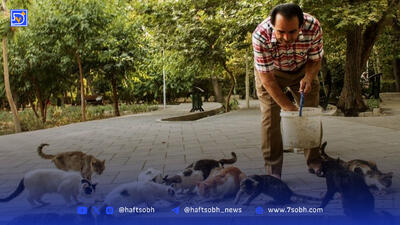 گربه‌هایی که از موش می‌ترسند