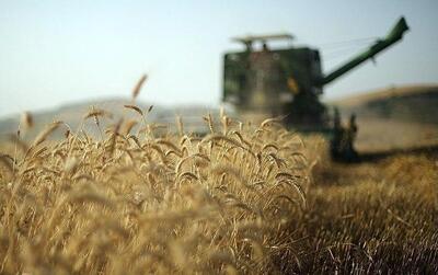 اعتبار موجود، اصلاح قیمت خرید تضمینی گندم را پاسخ می‌دهد