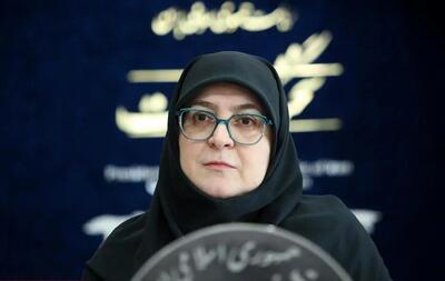 سخنگوی دولت: واگذاری فرآیندها به بخش خصوصی از برنامه‌های جدی پزشکیان است