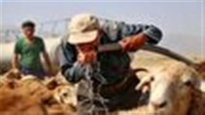 آغاز آبرسانی به عشایر مناطق ییلاقی فاقد آب شرب در خرم آباد