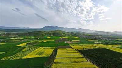 ۱۶ هزار هکتار از اراضی کشاورزی سلسله تثبیت شد