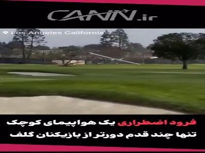 فرود اضطراری هواپیما در زمین گلف بازیکنان را شوکه کرد