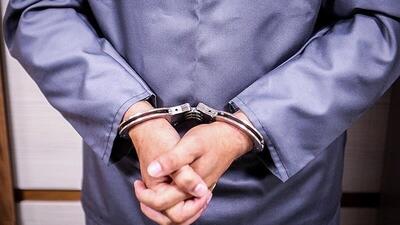 دستگیری مالخران و کشف اموال مسروقه در بام و صفی‌آباد