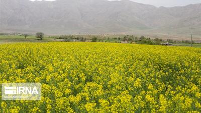 این داده‌ها چگونه به مزرعه می‌روند