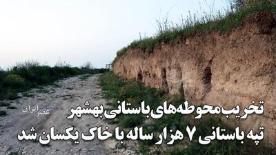 شهرداری و کشاورزان تپه‌های باستانی ۷ هزار ساله را در نزدیکی بهشهر با خاک یکسان کردند / استخوان‌های انسانی متعلق به بیش از ۳ هزار سال قبل روی زمین ریخته‌اند / گوردخمه‌های اشکانی به طور کامل نابود شدند (فیلم)