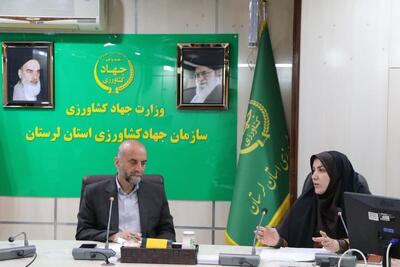برنامه‌های حمایتی متنوعی برای توانمندسازی زنان روستایی و عشایری لرستان در دستور کار داریم