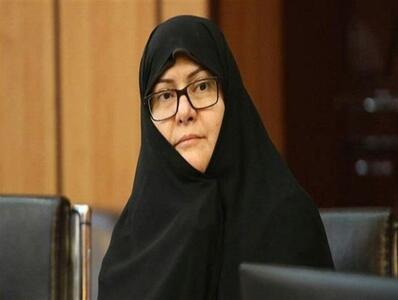 از ظرفیت سرمایه گذاران بومی در طرح توسعه آستان امامزاده حسین(ع) استفاده شود 