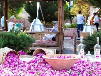 بهاری عطرآگین در پایتخت / برگزاری جشنواره گلابگیری در بوستان‌های تهران + جزئیات