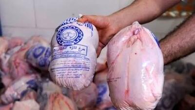 اعتراض شدید مرغداران به قیمت جدید مرغ منجمد و صادراتی در بازار