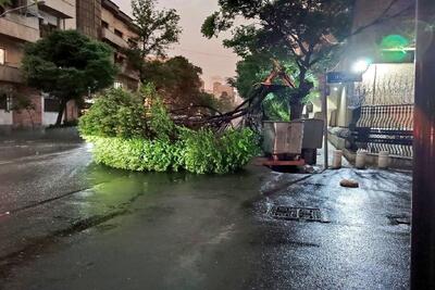 آماده‌باش اورژانس برای طوفان شبانه پایتخت