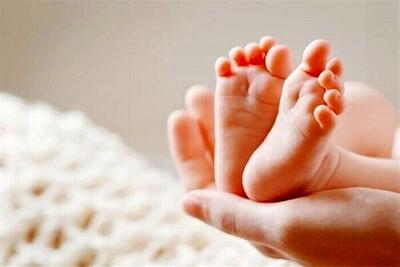 تغذیه معجزه‌آسای باروری از دیدگاه ابن‌سینا