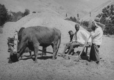 این منطقه از تهران روزگاری دشت گلایل شهر بود