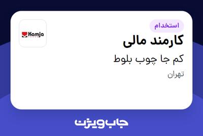 استخدام کارمند مالی در کم جا چوب بلوط