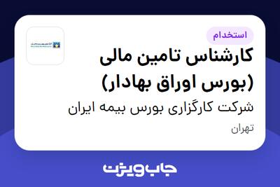 استخدام کارشناس تامین مالی (بورس اوراق بهادار) در شرکت کارگزاری بورس بیمه ایران