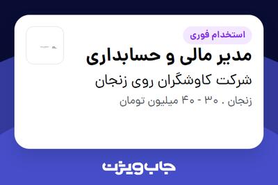 استخدام مدیر مالی و حسابداری - آقا در شرکت کاوشگران روی زنجان