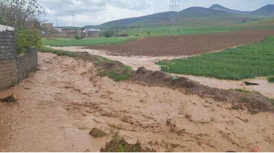 بارش باران موجب سیلاب در روستای پسوه شد