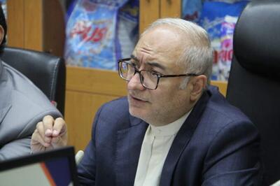 مدیرعامل گروه توسعه ملی: رسالت گروه، حمایت و تسهیل امور شرکت‌های زیرمجموعه است