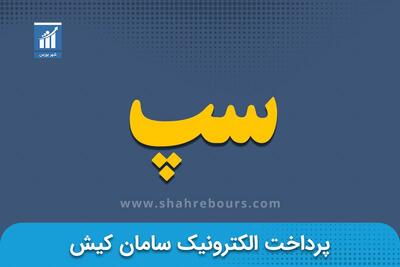 کدال سپ | کاهش 59 درصدی سود خالص شرکت