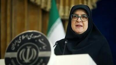 سخنگوی دولت: لایحه جدیدی درباره عفاف و حجاب نوشته خواهد شد