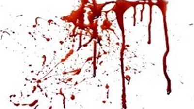 دستگیری قاتل نگهبان پارک/مشروبات الکلی جنایت آفرید