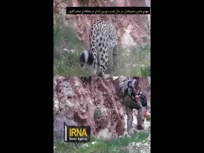 ردّپای 2 پلنگ جوان در کبیرکوه ایلام