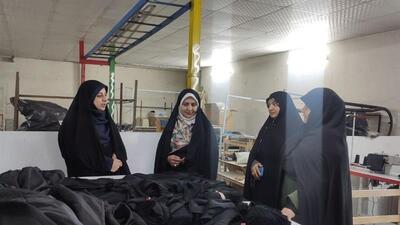 تشکیل تعاونی‌ برای تقویت کارگاه‌های تولیدی بانوان قزوین ضرورت دارد