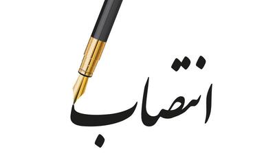 امین افقی مدیرعامل سازمان منطقه آزاد مازندران شد
