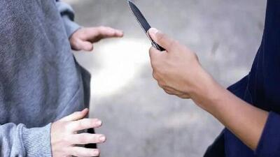عامل زورگیری از زن جوان در شهرک اکباتان دستگیر شد+ فیلم
