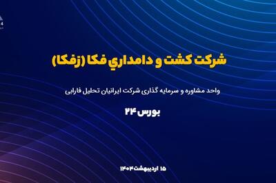 تحلیل بنیادی «زفکا»