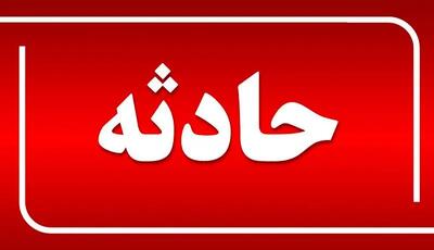 عاملان قتل و مصدومیت چهار کارگر یک گلخانه دستگیر شدند