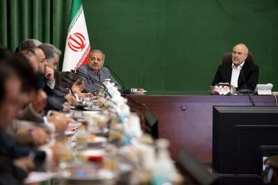 دیدار جمعی از معلمان نمونه کشوری با رئیس مجلس