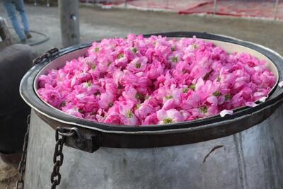 کارگاه گلابگیری در خانه