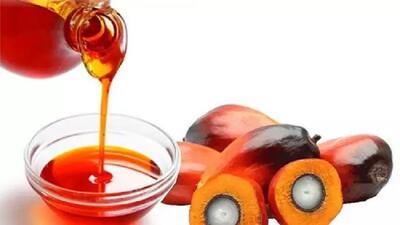 روغن پالم و تاثیرات آن بر سلامت بدن - سبک ایده آل