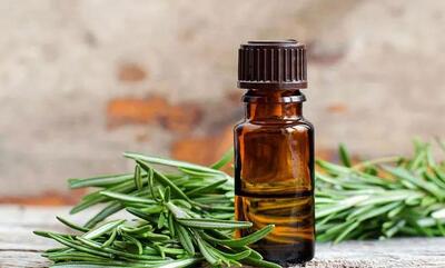 آموزش ساخت کرم موی رزماری خانگی + فیلم - سبک ایده آل