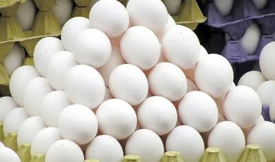 بحران در بازار تخم مرغ