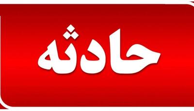 تصادف پژو ۴۰۵ با درخت، ۵ مصدوم بر جای گذاشت