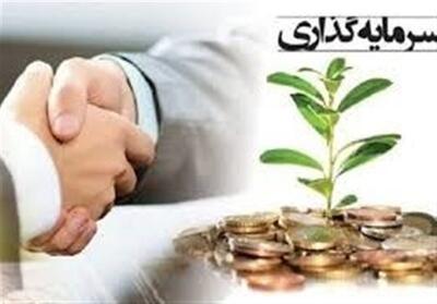 تاجیکستان جذب سرمایه‌گذاری خصوصی را اولویت داده است - تسنیم