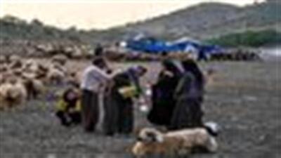 تولید بیش از سه هزار تن محصولات عشایری در قزوین